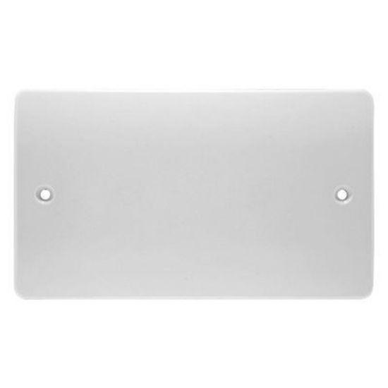 Picture of 2 Gang Blank Plate