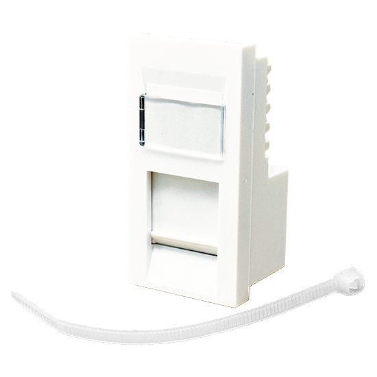 Picture of RJ45 Cat6 Outlet Module UTP 25x50mm - 1Gbps High Speed Ethernet Networking 