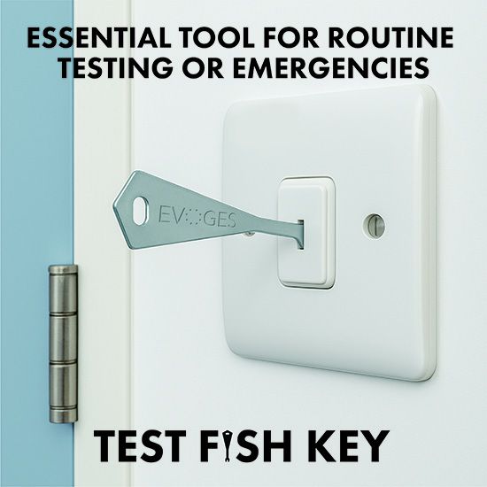 Picture of Test Fish Key for Secret Emergency Light, Grid Switches Replacement Key  - Pack of 5