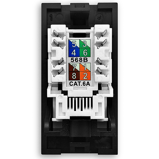 Picture of CAT6A UTP RJ45 Ethernet Module – Black (25x50mm Euro Module)
