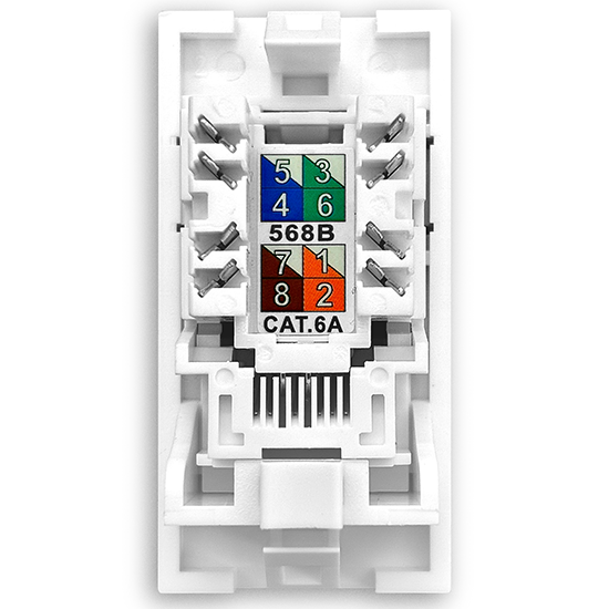 Picture of CAT6A UTP RJ45 Ethernet Module – White (25x50mm Euro Module) 