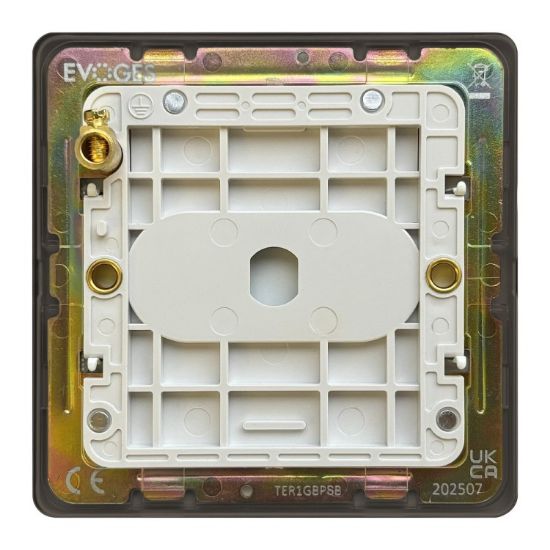 TER1GBPSB